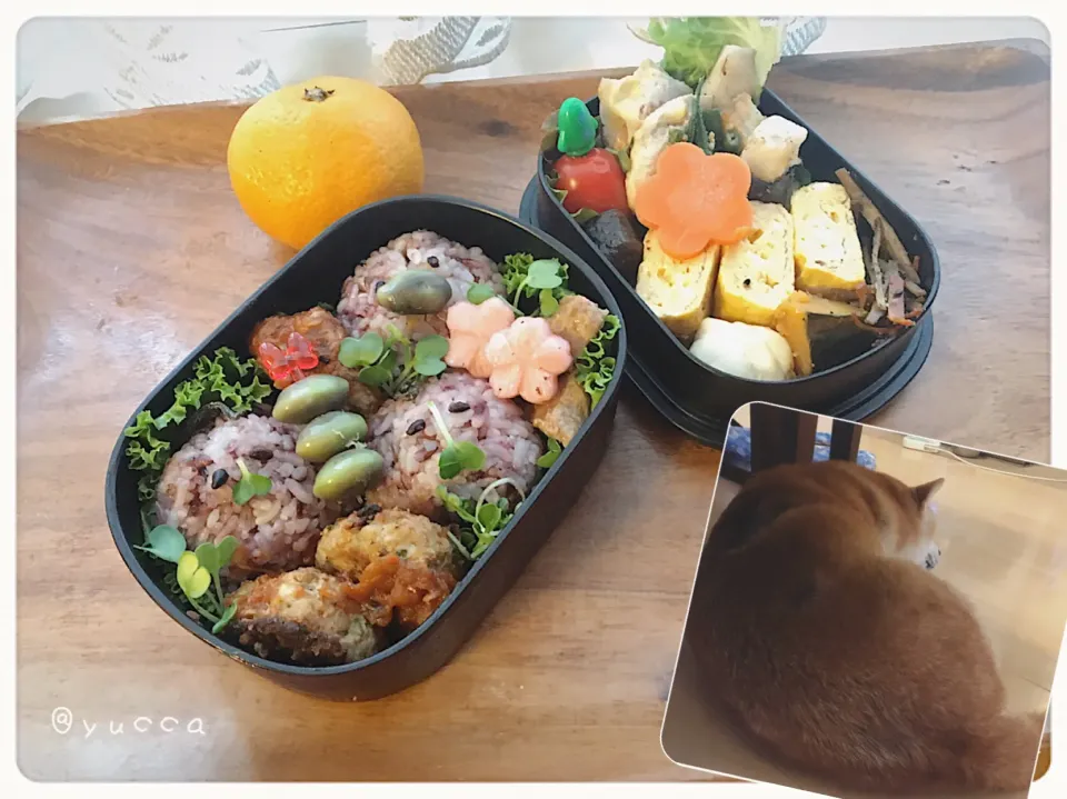 Snapdishの料理写真:JK弁当🍠2019.11.8(Fri.)|yucca@さん