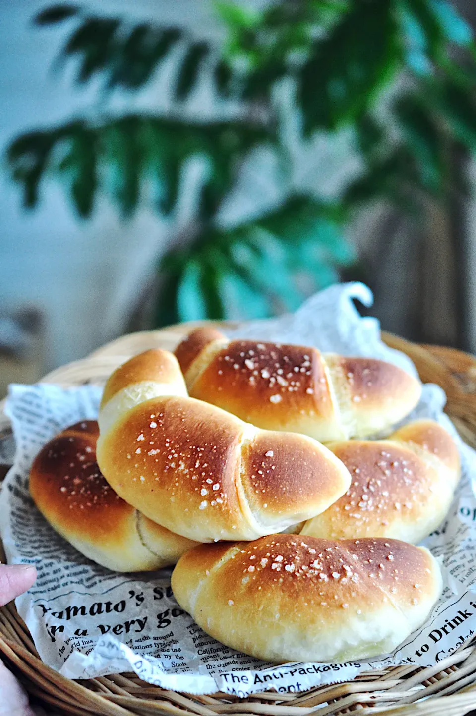 Snapdishの料理写真:焼き立て塩パン❣️|kayokoさん