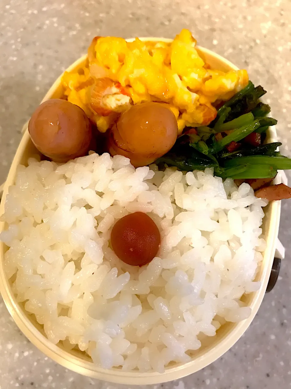 Snapdishの料理写真:2019,11,11 自分用お弁当|ATSUMIさん