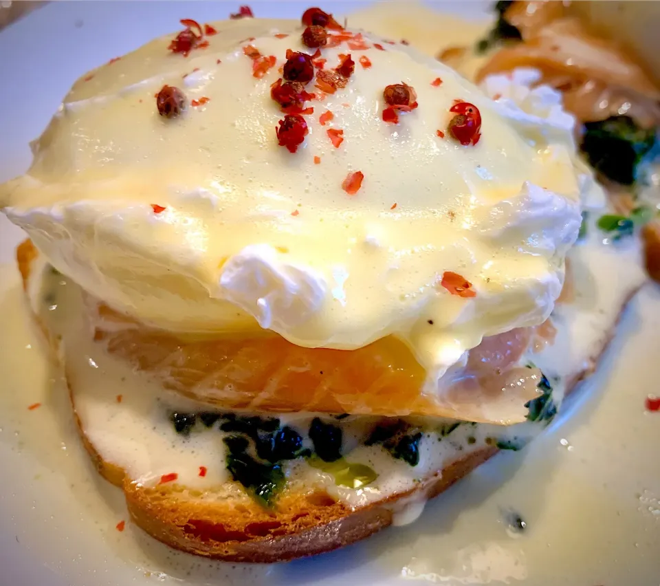 Egg florentine|Alessandra de Lucaさん