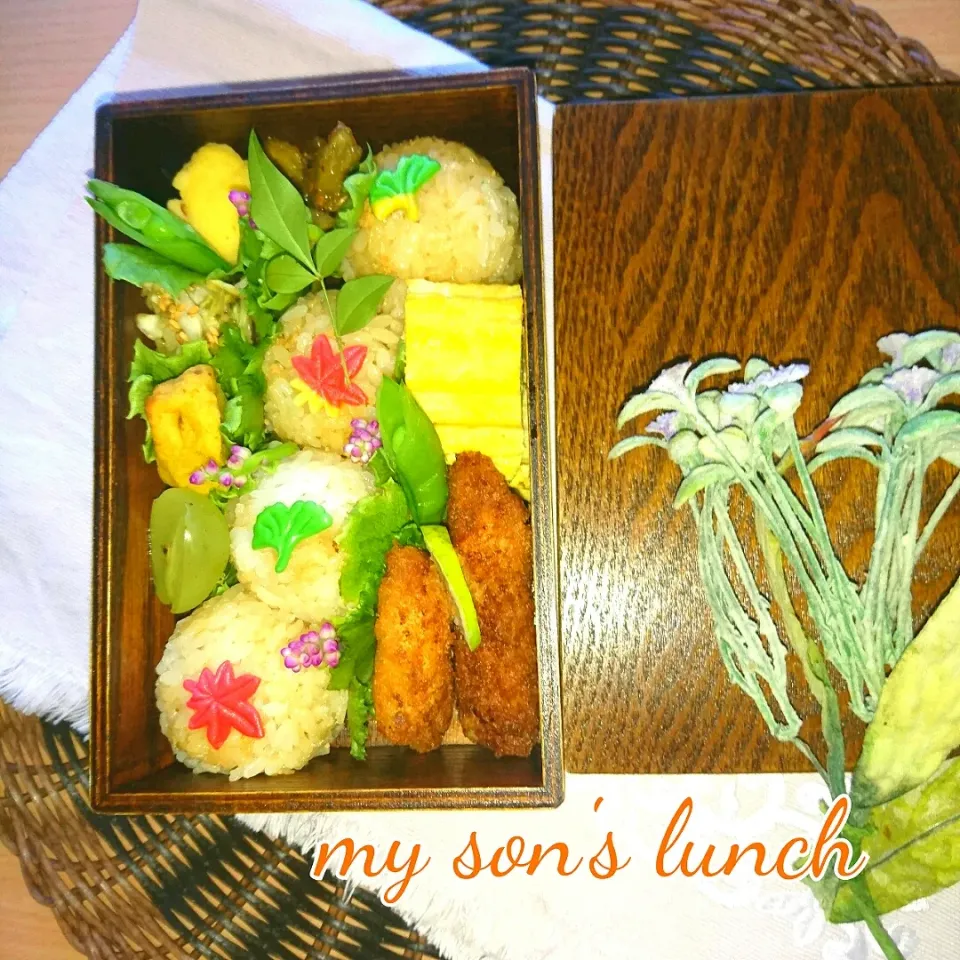 Snapdishの料理写真:鶏そぼろおにぎり弁当|kotokotoさん