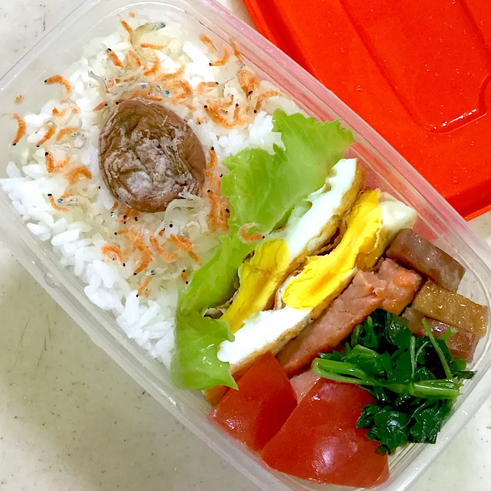 Today's lunch box|hoppycowさん