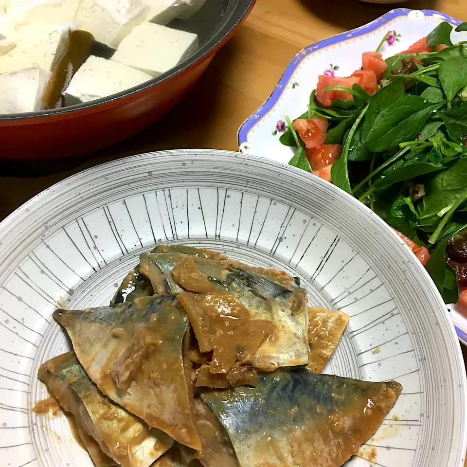 昨日の夜のおばんざい　　　　　　　　　　　　　　サバの味噌煮、ホウレンソウサラダ、それに湯豆腐　　　　　　　　　　　　　　　　　　　2019.11.11|Yu Yu mamaさん