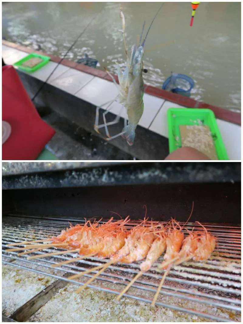 海老釣り
釣った海老をその場で焼いて食べるんです。
in Taiwan|kamekameさん