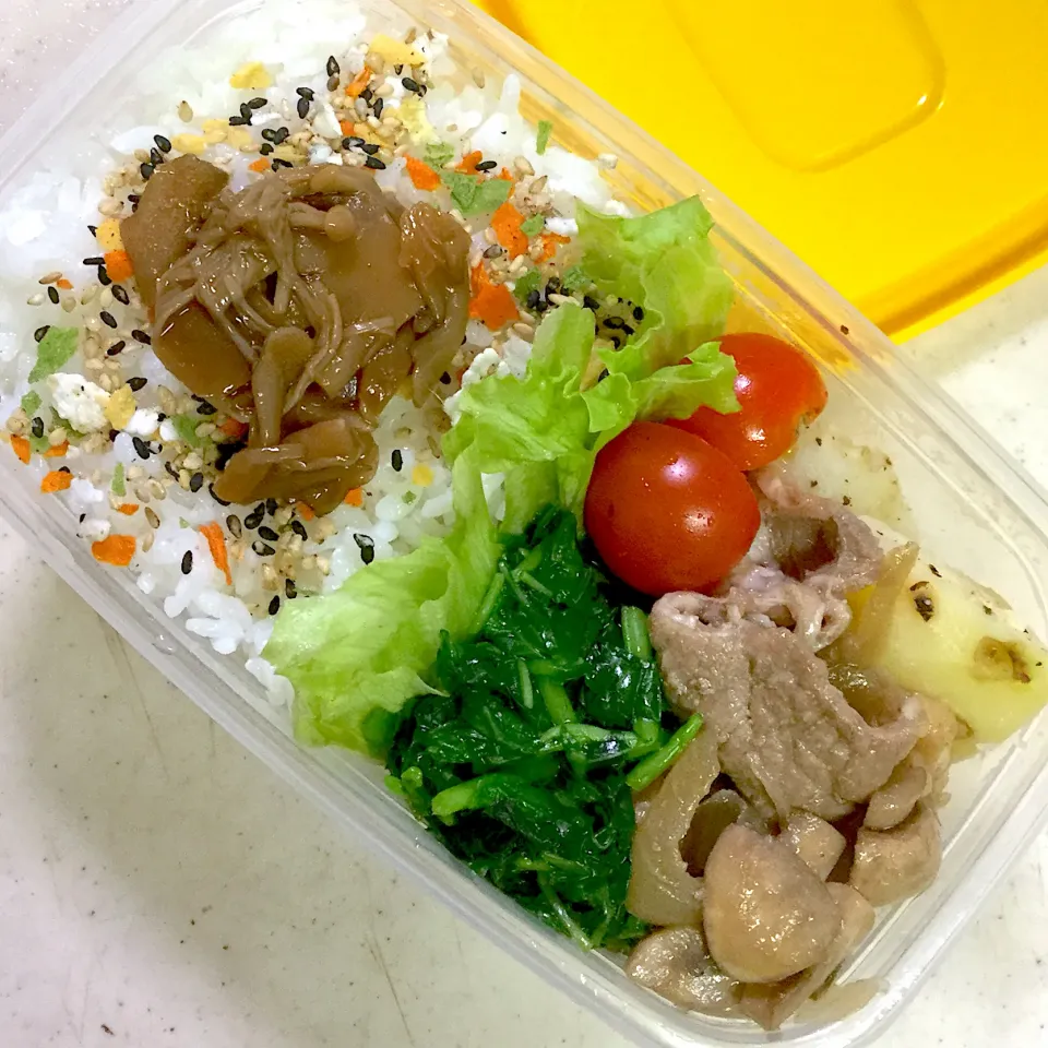 Today's lunch box|hoppycowさん