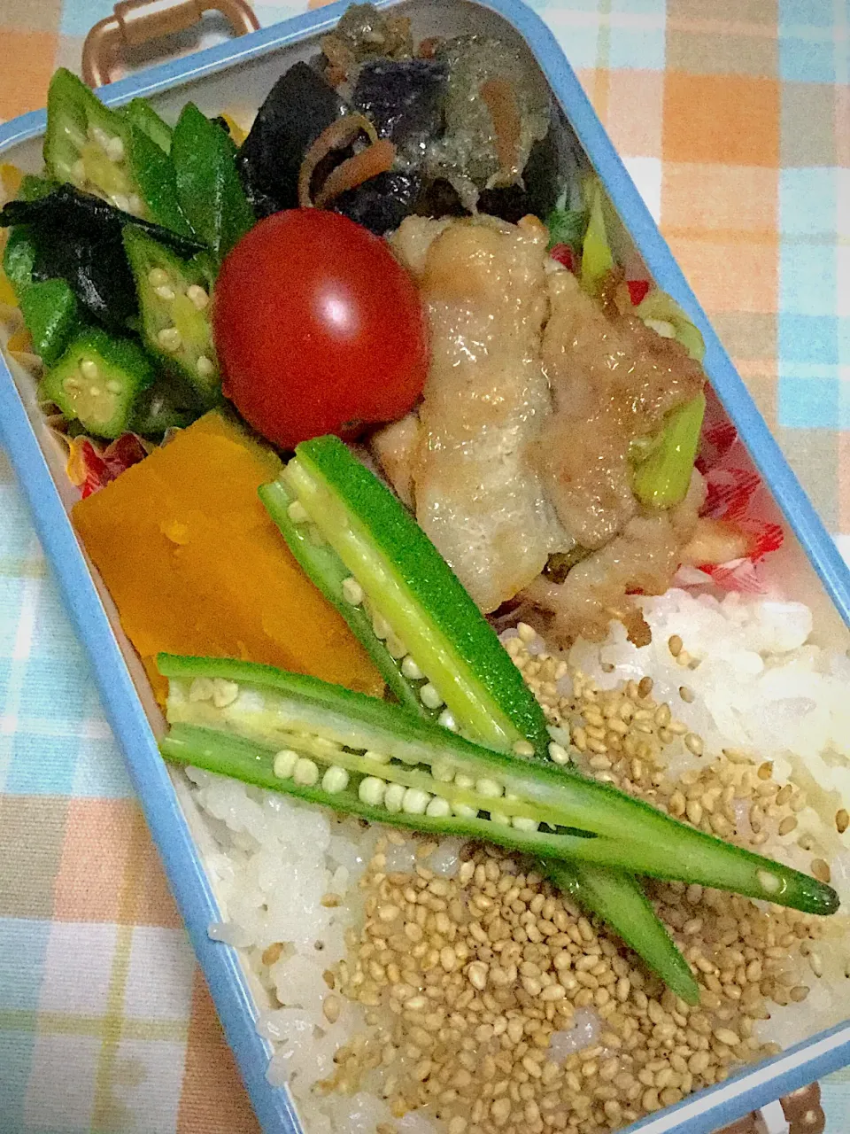 長女の中学弁当！豚ネギしお焼き|yukoさん