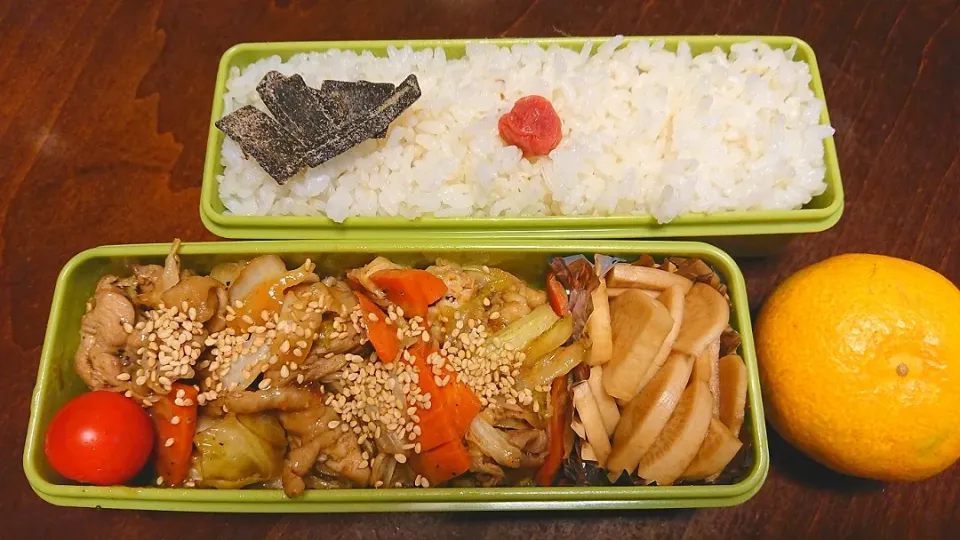 Snapdishの料理写真:鶏肉野菜炒め弁当|りょーさん