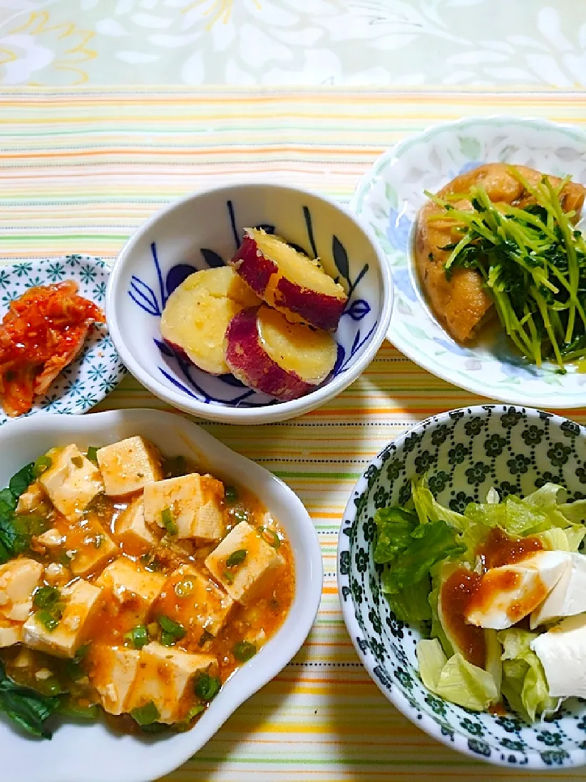 麻婆豆腐とがんもの煮物、豆苗添え
がんも好き。
豆腐料理に？|🍒ふみりん🍒さん