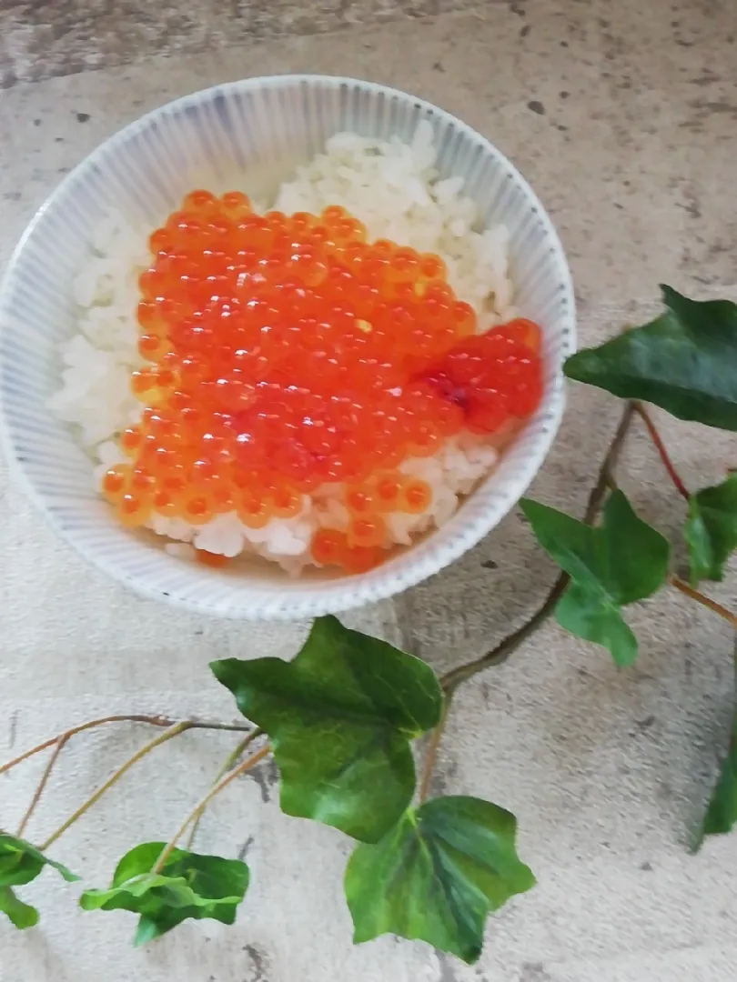 白醤油のいくらごはん|ハイドランジアさん