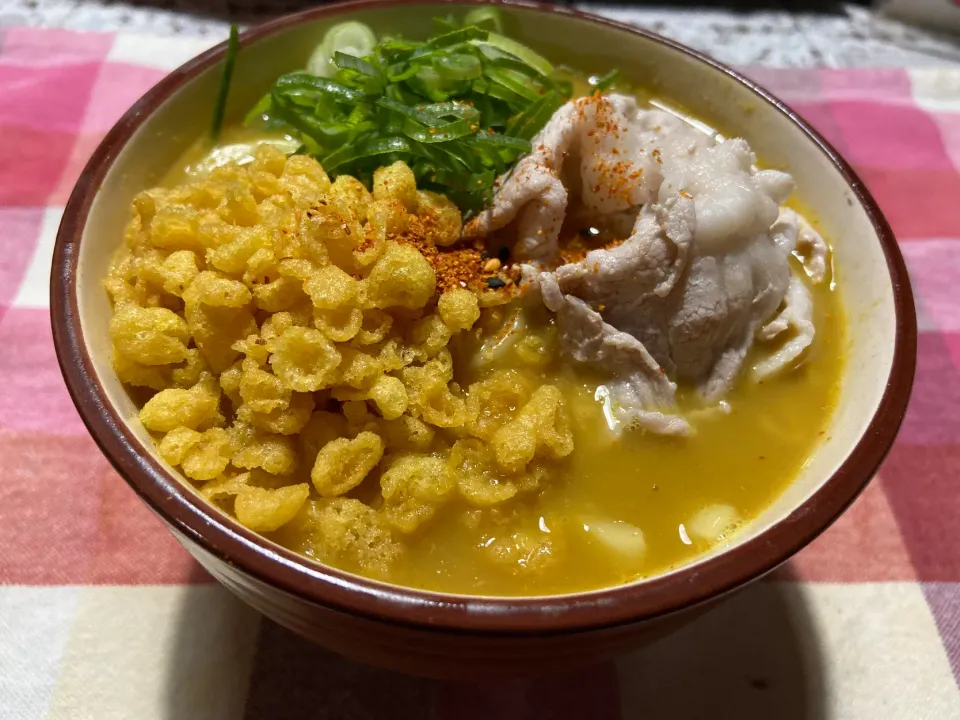 カレーうどん|ハルのただ飯さん