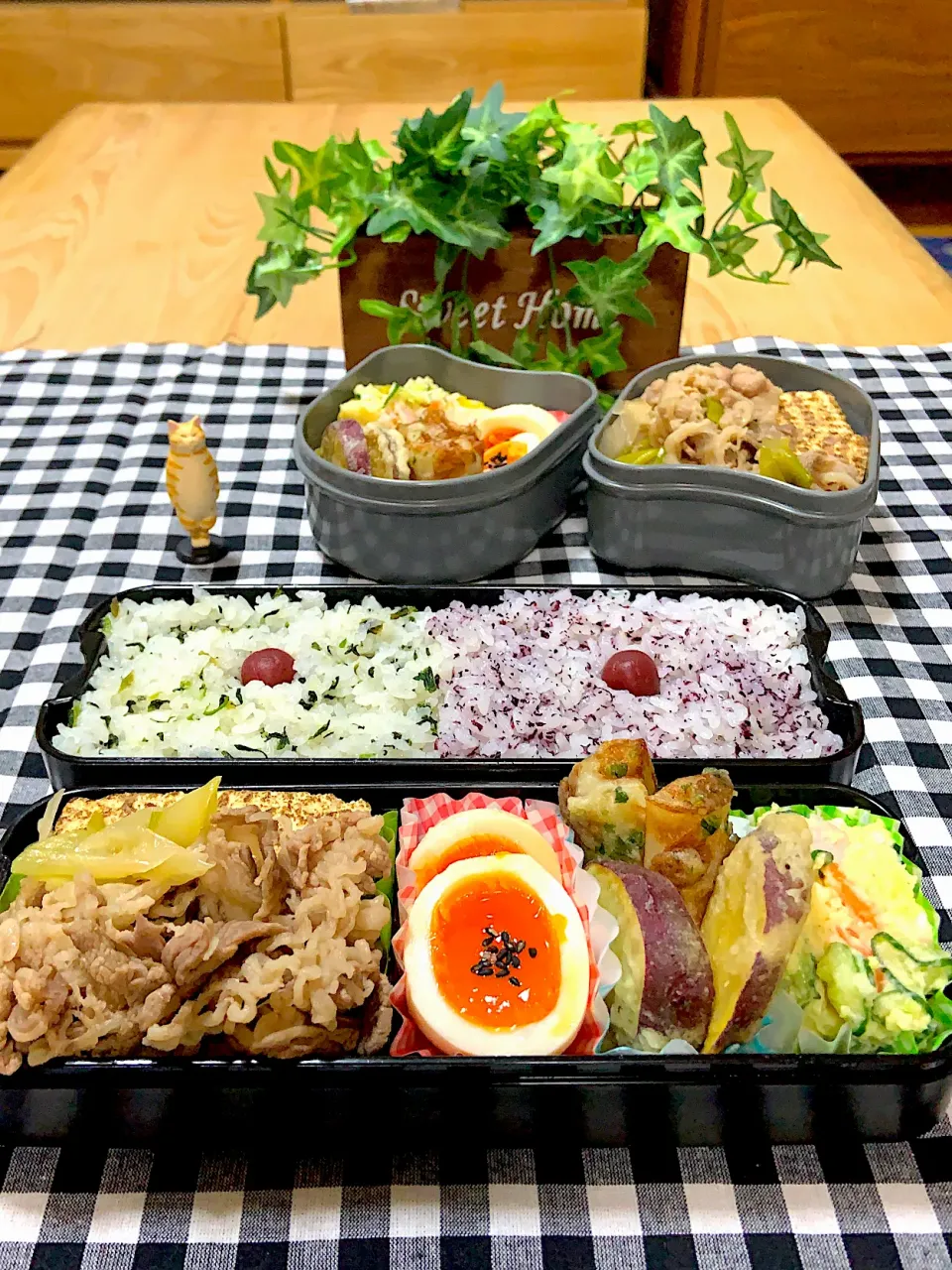 Snapdishの料理写真:肉豆腐弁当🍱|いとはんさん