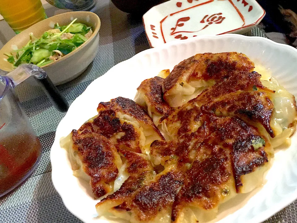 白菜ニラ餃子・鶏肉と豆苗きゅうりのサラダ|料理初心者さゆみさん