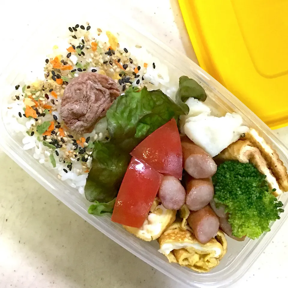 Today's lunch box.|hoppycowさん