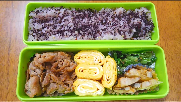 １１月１２日　お弁当|いもこ。さん