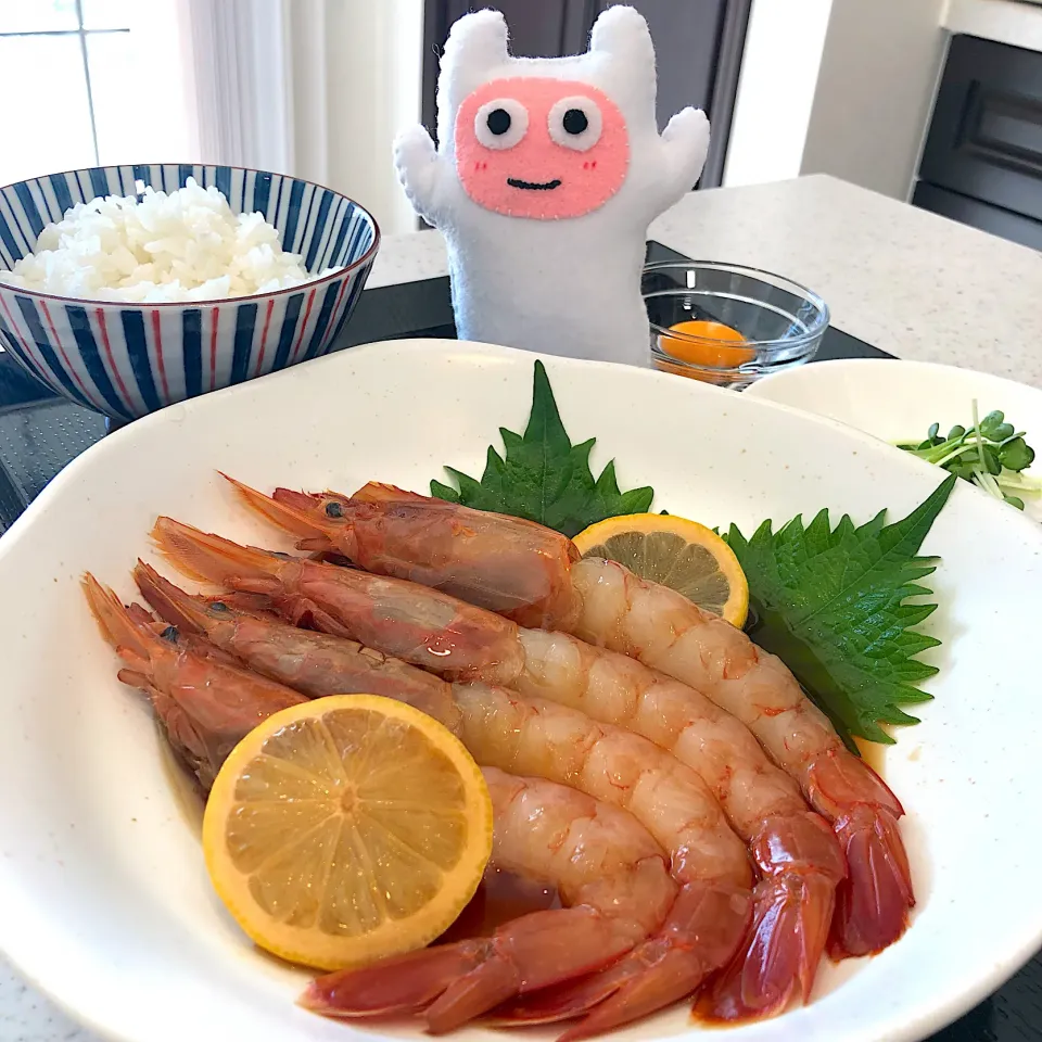 【#カンジャンセウ 】海老の醤油漬け🦐YouTube ギョニソのニックTV|ヨッチャンさん