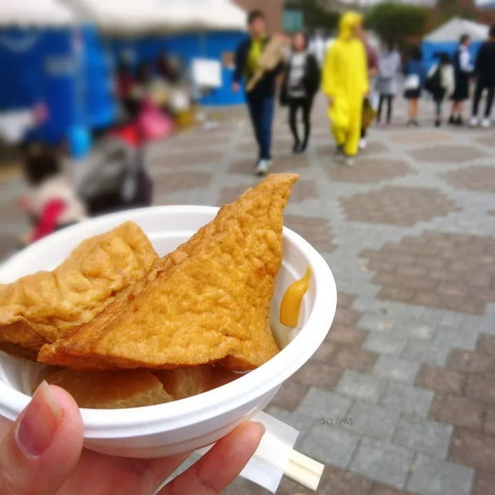 学園祭に行ってきました🍢|うさかめさん