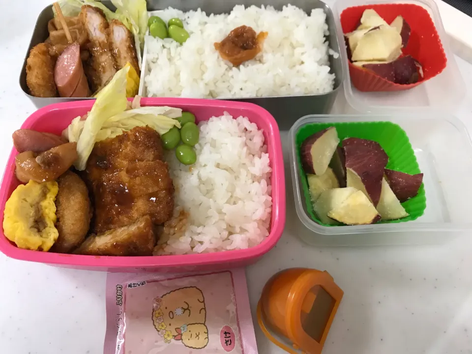 Snapdishの料理写真:#旦那様高2娘のお弁当|やすあけさん