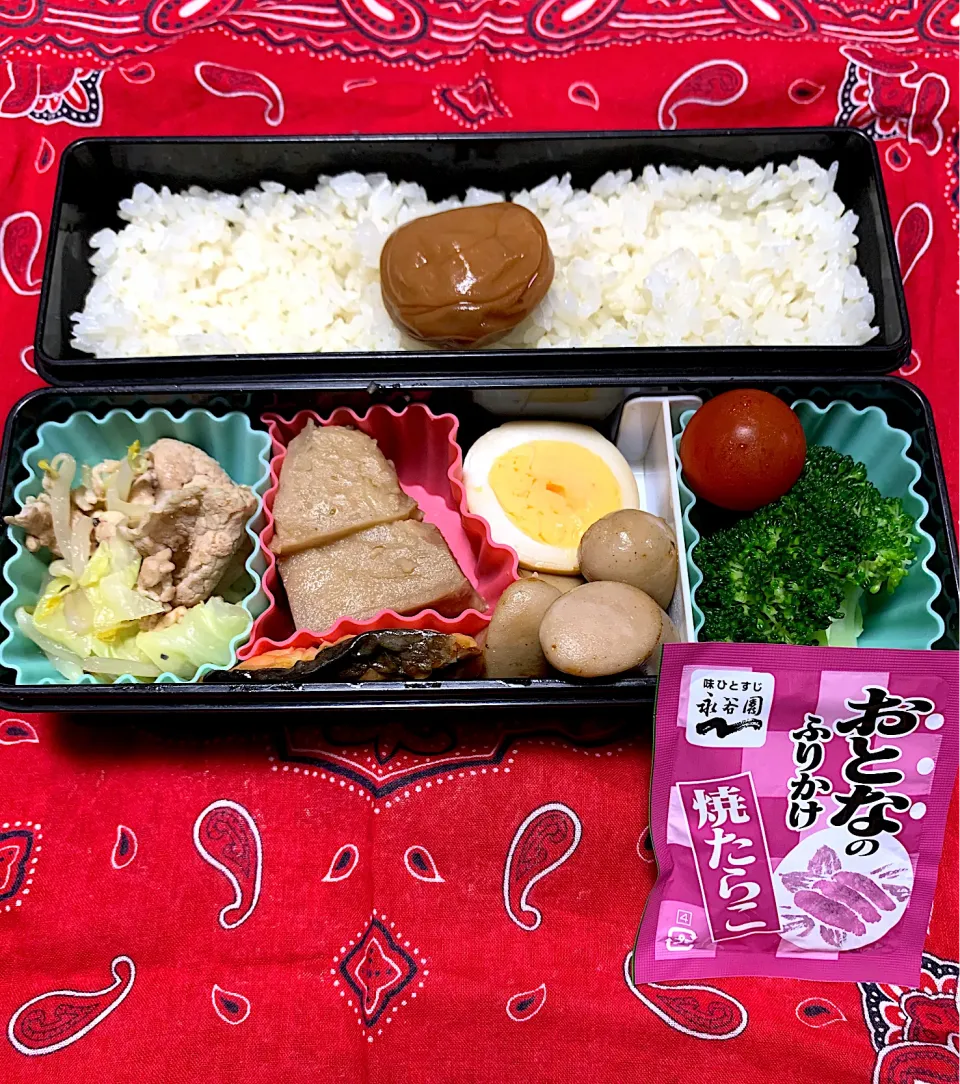 娘のお弁当11/19|iguigupopさん