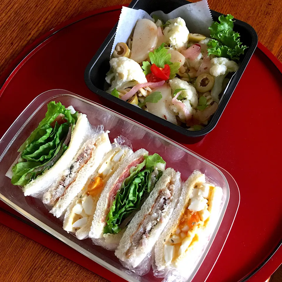 Snapdishの料理写真:サンドイッチとサラダ弁当|Kさん