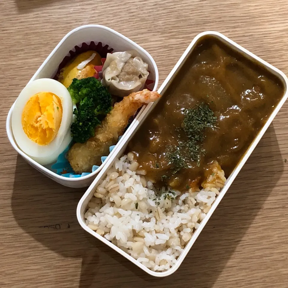 今日のお弁当♬ 191119|いしくん。（たまご王子🥚🐣🐥🐔）さん