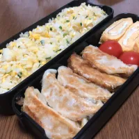 手抜き餃子弁当| 騒音チヒさん