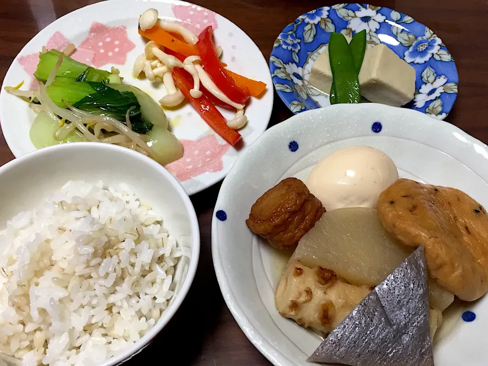 おでん パプリカのマリネ 青梗菜ともやしのナムル 高野豆腐の含め煮|おさむん17さん