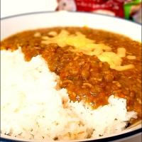 おさかなミンチとレンズ豆のカレー