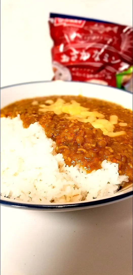 おさかなミンチとレンズ豆のカレー|ゆきこさん