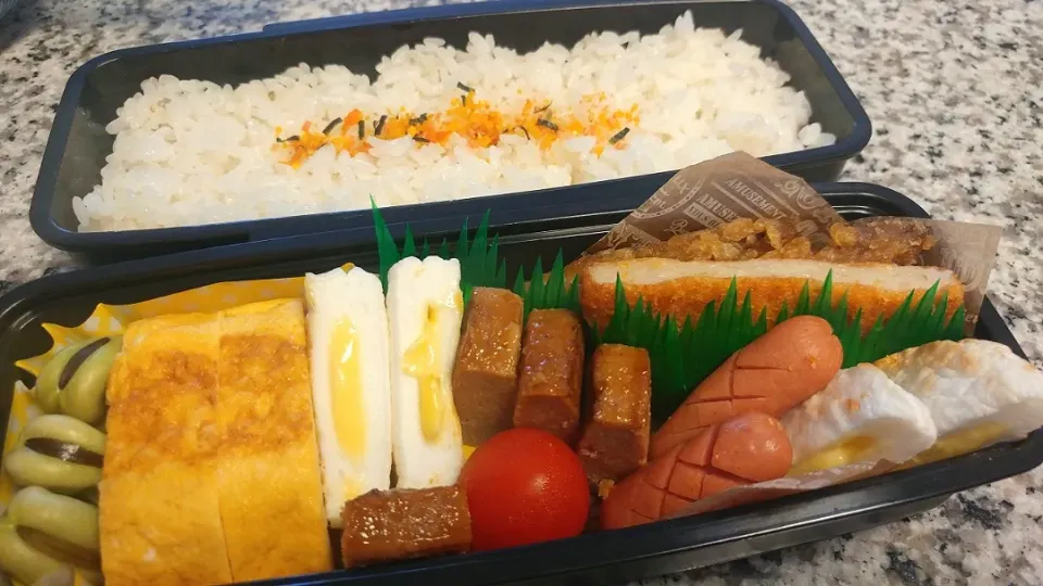 Snapdishの料理写真:19.06.11の夫くんへのお弁当🍱|💗やよ💗さん