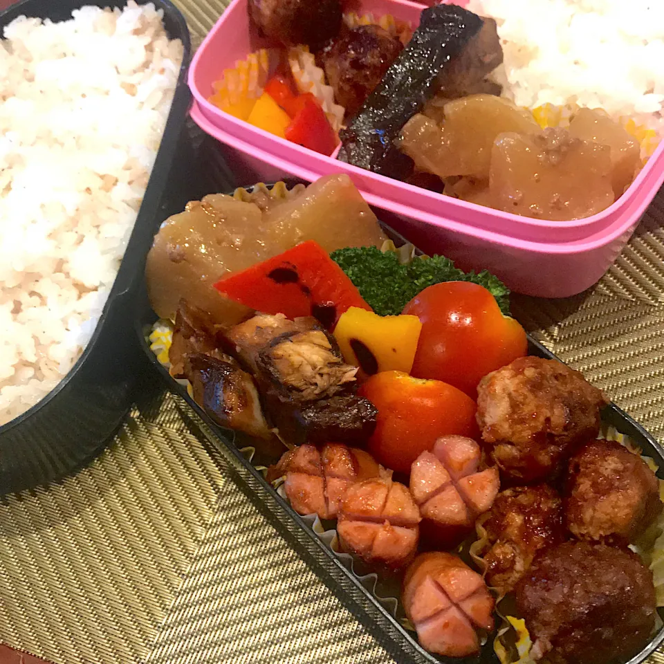 今日のお弁当🍱|mokoさん