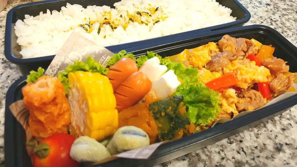 19.06.21の夫くんへのお弁当🍱|💗やよ💗さん