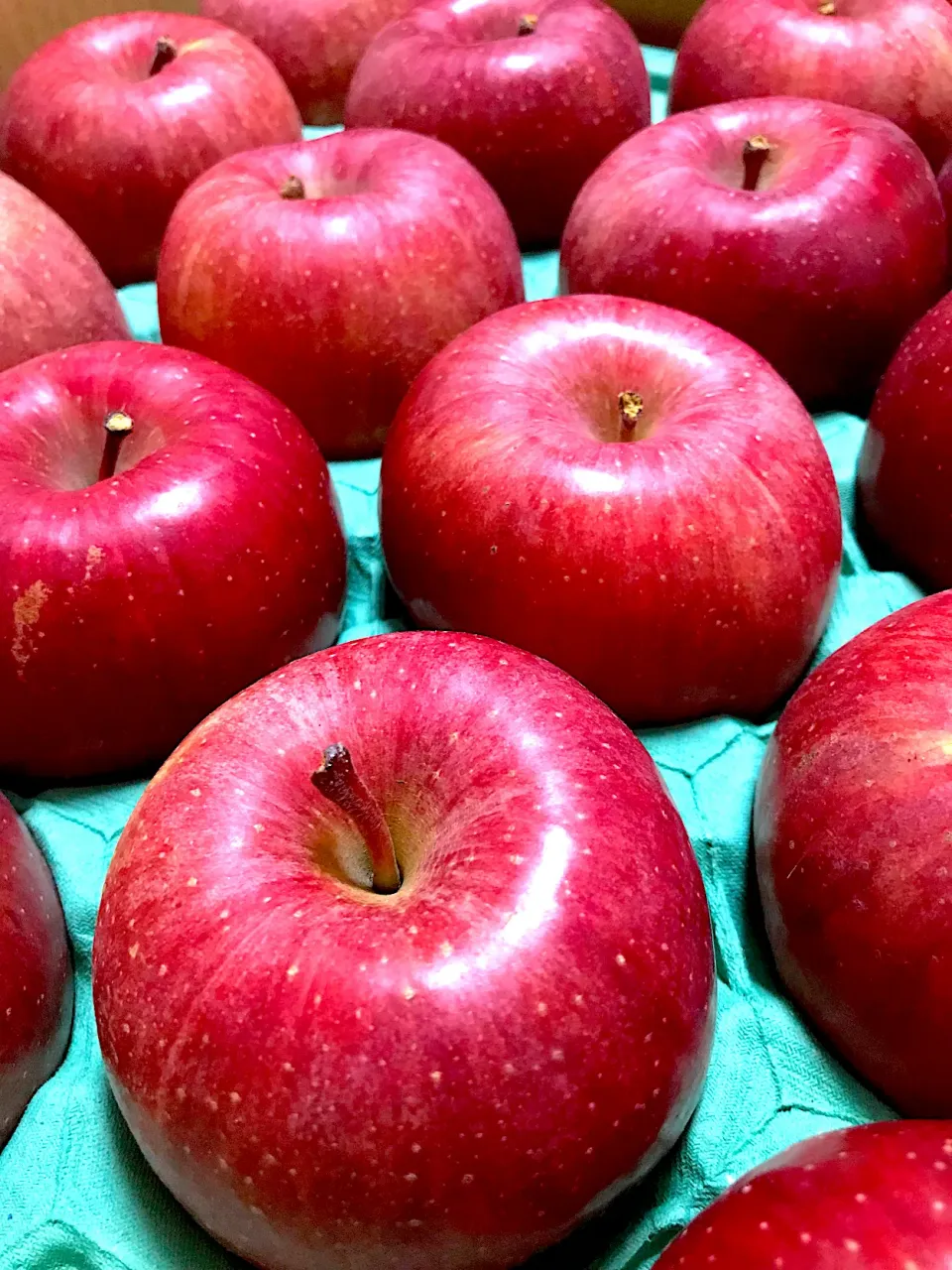 頂き物🍎長野県安曇野市のりんご🍎|ナナさん