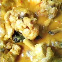 Snapdishの料理写真:gulai ayam|aryanieさん