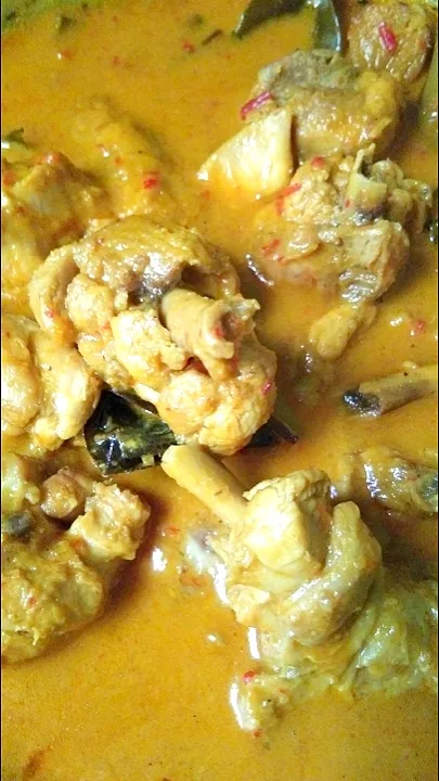 gulai ayam|aryanieさん