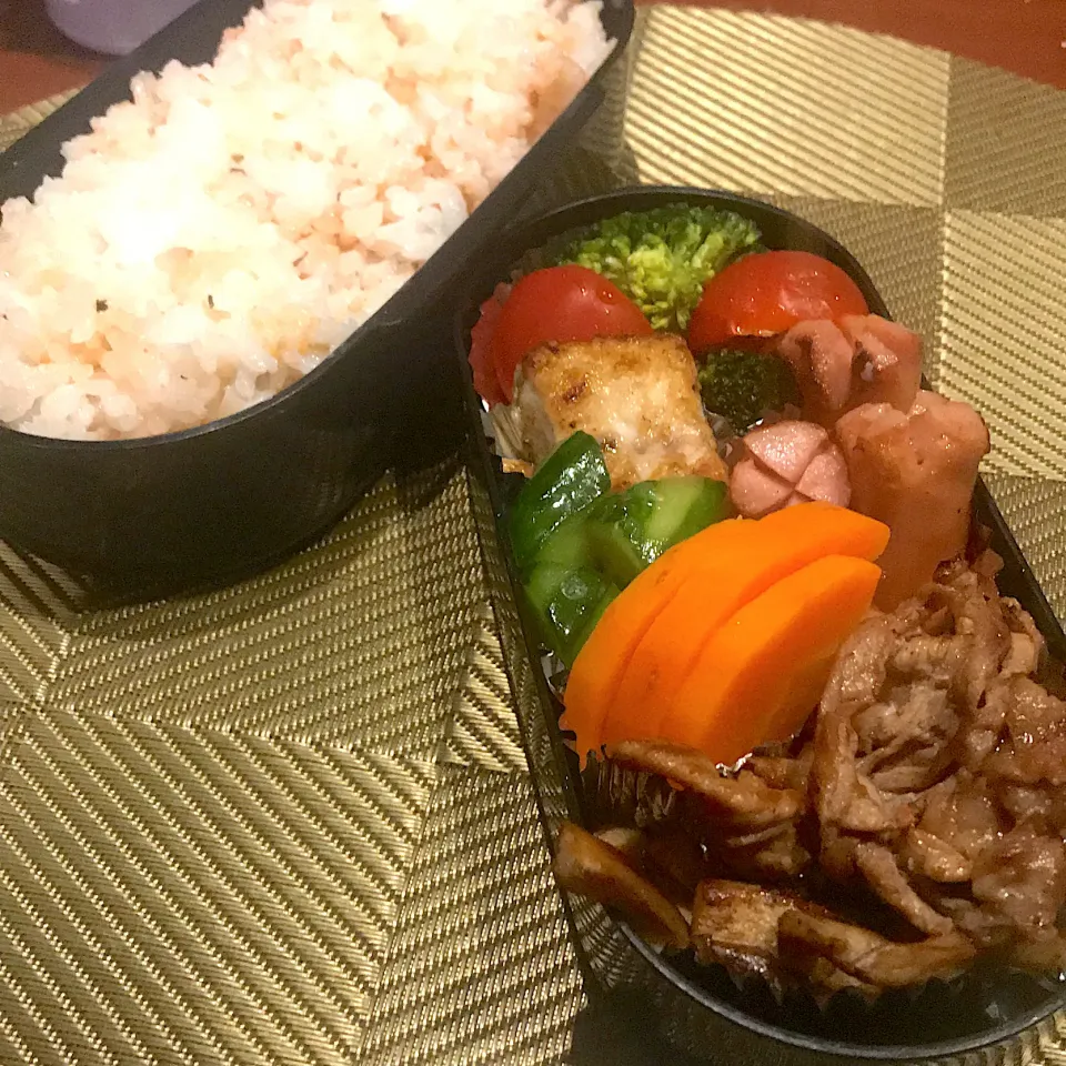 Snapdishの料理写真:今日のお弁当🍱|mokoさん