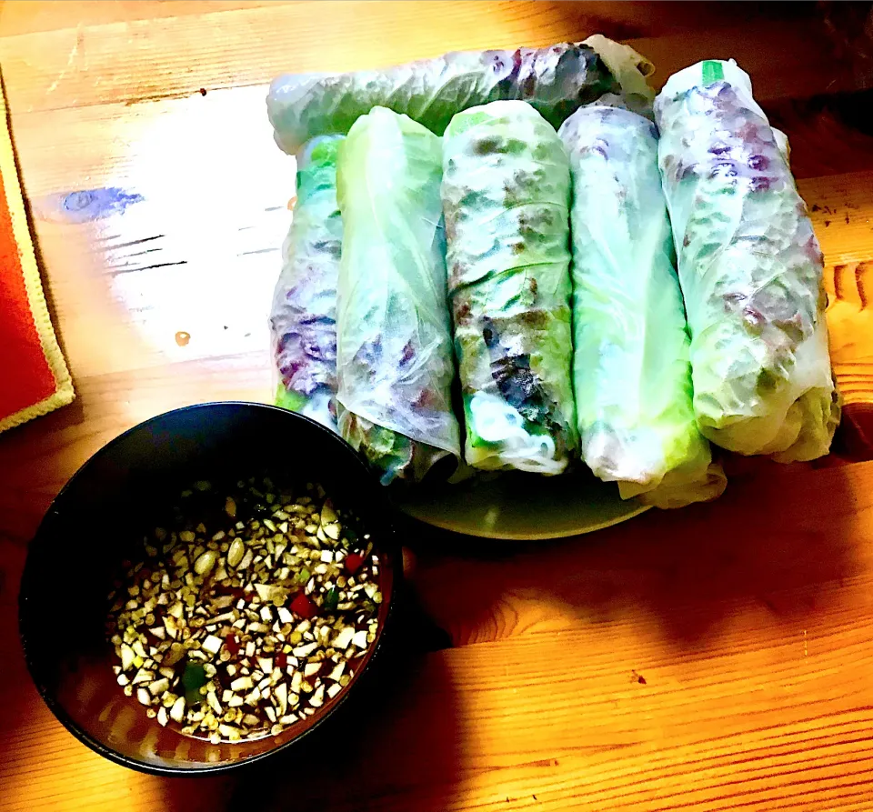 Vietnamese spring rolls- ベトナムの生春巻き　🥰🥰🥰|Ha Kim Truc Quanさん