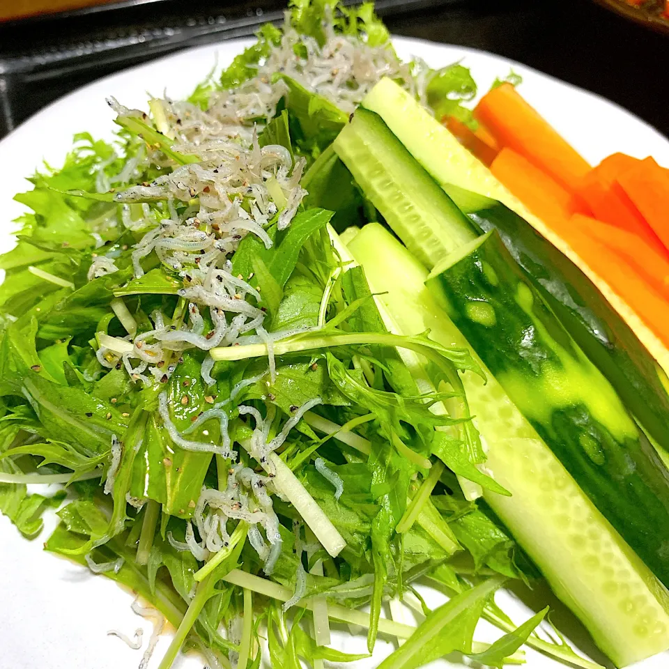 Snapdishの料理写真:#水菜と山葵菜のじゃこサラダ #スティック野菜|たまさん