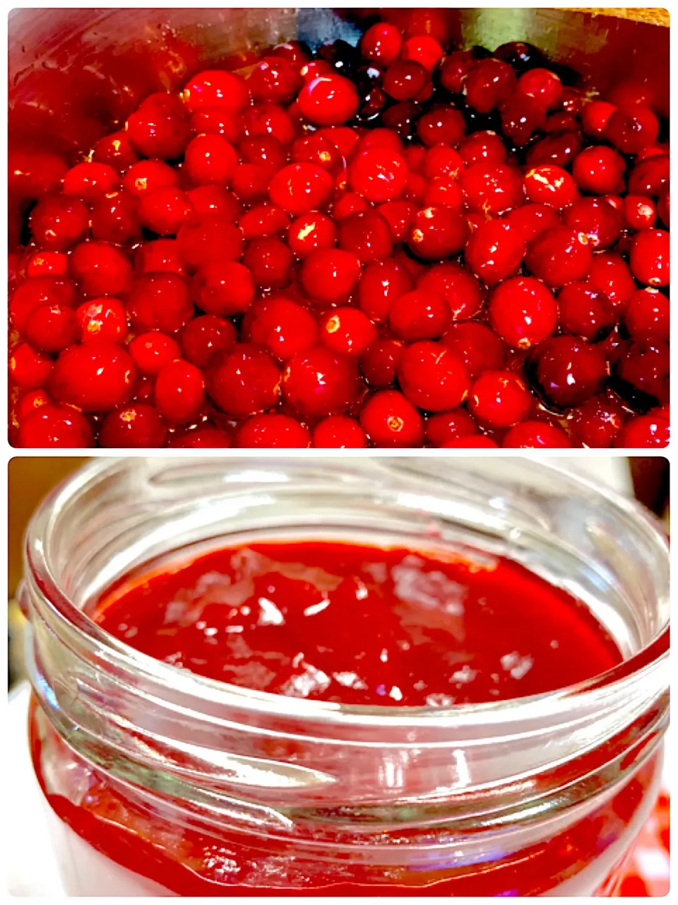 Cranberry Sauce|gonbenさん