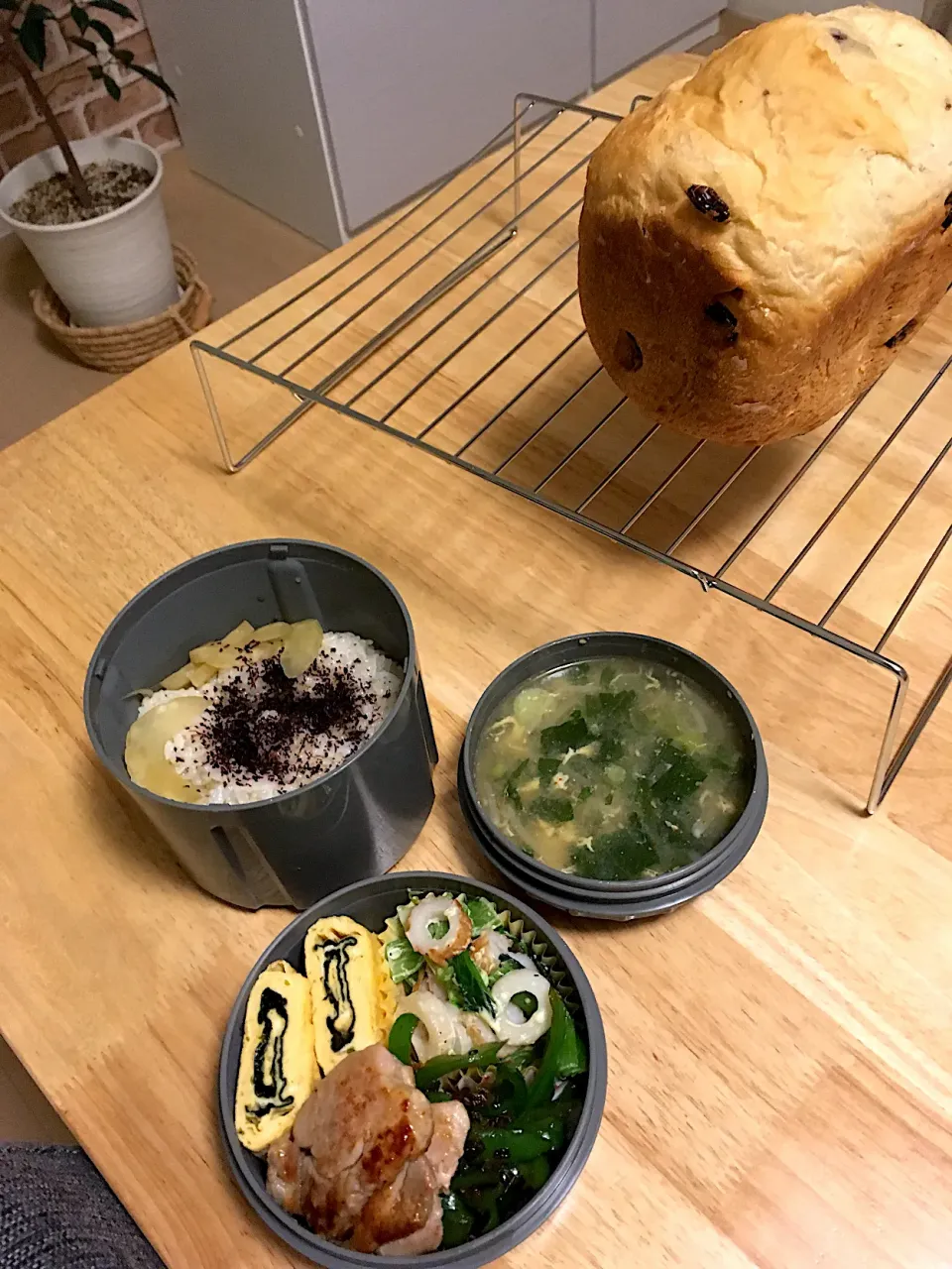 旦那さんのお弁当と朝焼きぶどう食パン🍞|さくたえさん