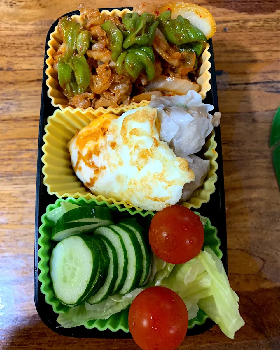 Snapdishの料理写真:弁当|achiさん