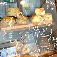 本日のスコーン達