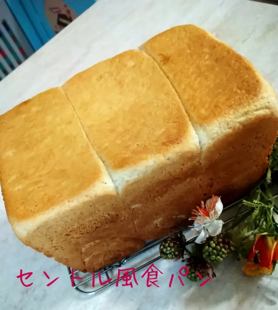 Snapdishの料理写真:マリンさんの料理 久しぶりにセントル風食パン♡|yukaさん