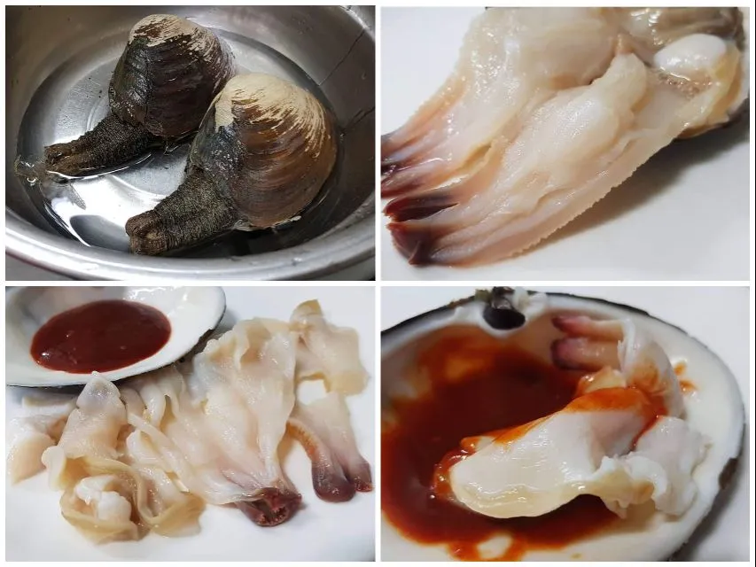 horse clam sashimi|steven z.y.さん