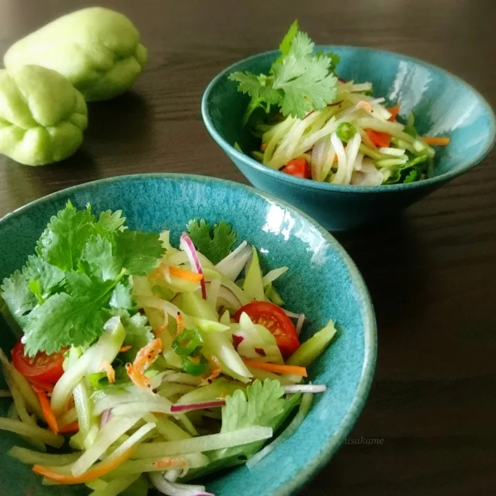 Snapdishの料理写真:アッチさんの料理 ソムタム ส้มตำ 🇹🇭|うさかめさん