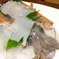 呼子のイカ