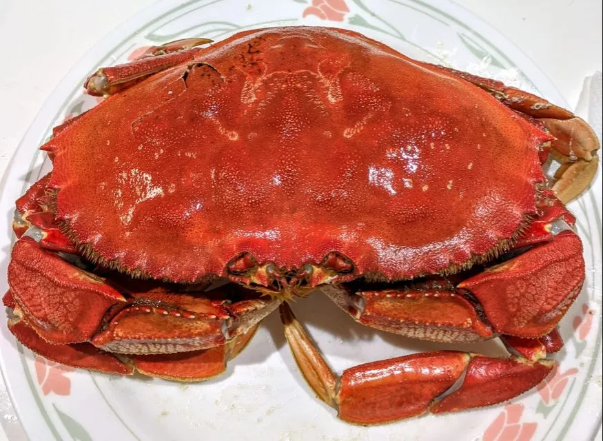 steamed Dungeness crab|steven z.y.さん