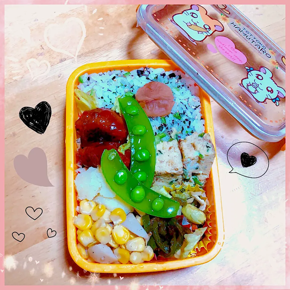 １２／２ ｍｏｎ 煮込みハンバーグ弁当🍴|rinaronarさん