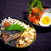 12/2(月)昼食　#弁当　•玄米ごはん/焼き鯖/卯の花　•ミートボール/大根の葛煮/ゆで卵/椎茸の甘辛煮