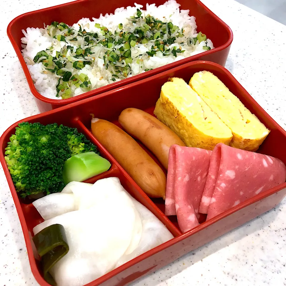 昨日のお弁当とまるで間違い探し状態のお弁当😅|ヨッチャンさん