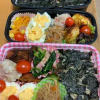 Snapdishの料理写真:12/3息子と娘のお弁当|としちゃんさん